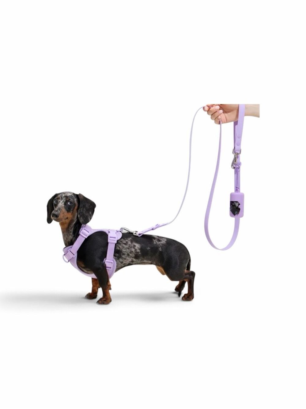 Doxie Puppies &Small Dog Walk Set Midnight Blue XXS